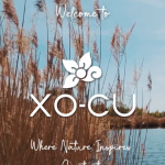 Screenshot 2024-03-26 at 16.57.17