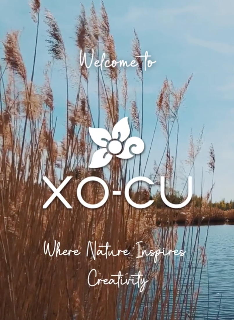 Screenshot 2024-03-26 at 16.57.17