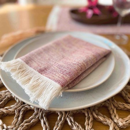 Tinto Handwoven Napkins Set of 4